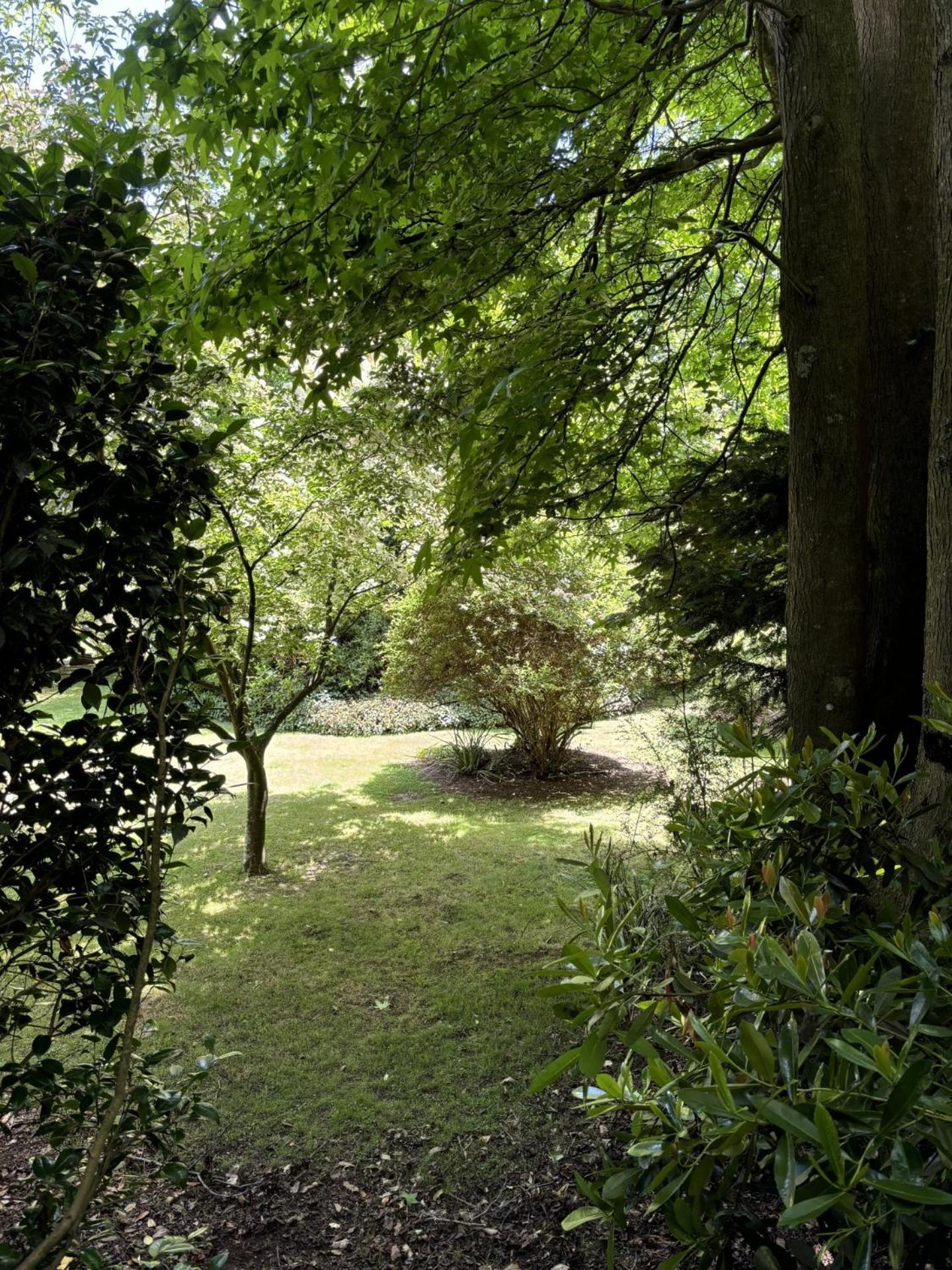 אולינדה Arcadia Cottages מראה חיצוני תמונה